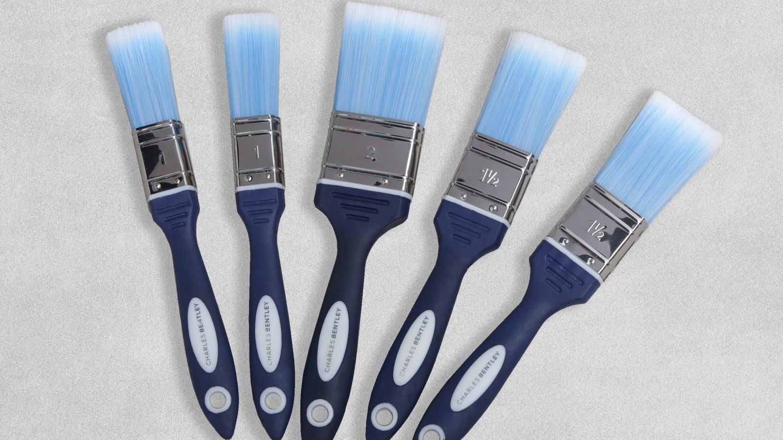 Charles Bentley Loss Free Paint Brush Set – 5pcs