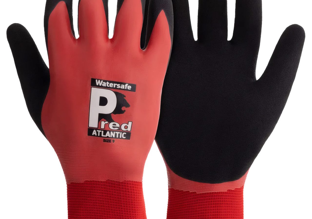 Predator by Ron WS1-8 Pred Atlantic Watersafe Cut 1 Gloves Size 8 (M) (Pack of 10 Pairs)